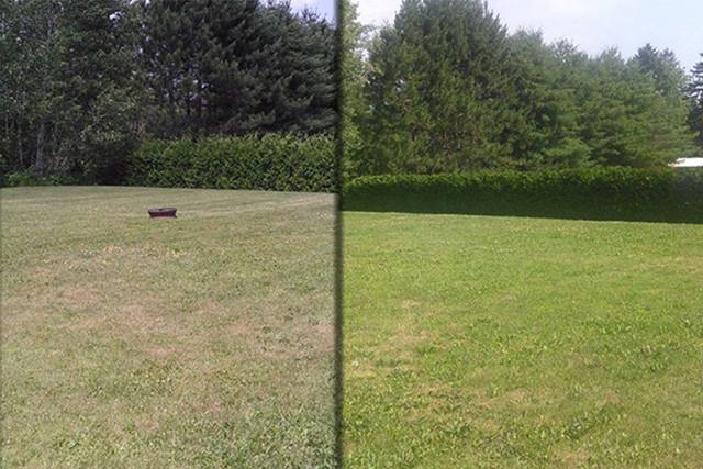 Deux vues d'un grand terrain gazonné bordé d'une haie